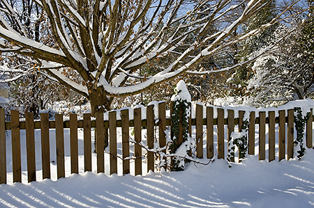 Fence Patterns on Snow, Charlottesville, VA